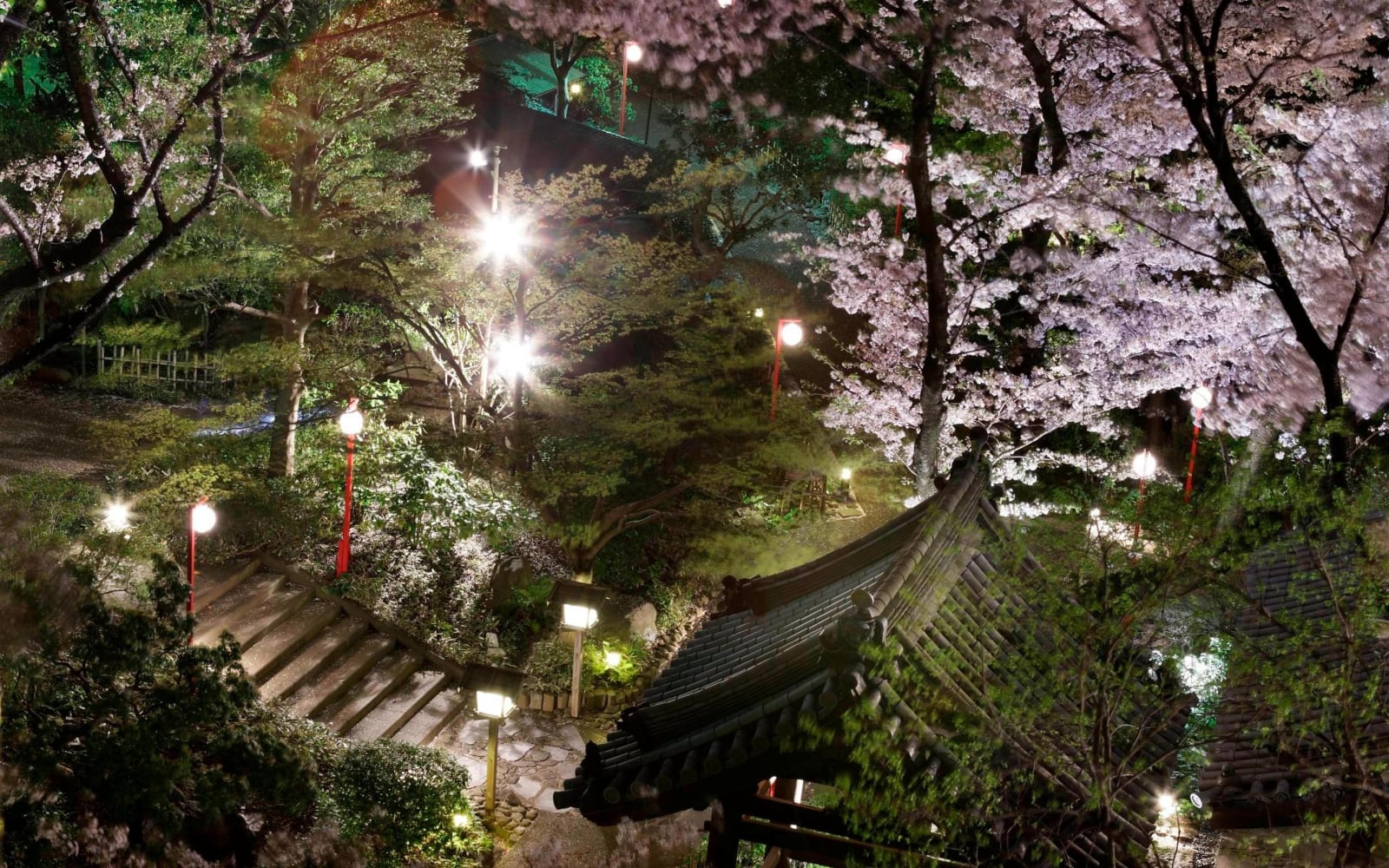 夜間點燈下的庭園石階與屋簷