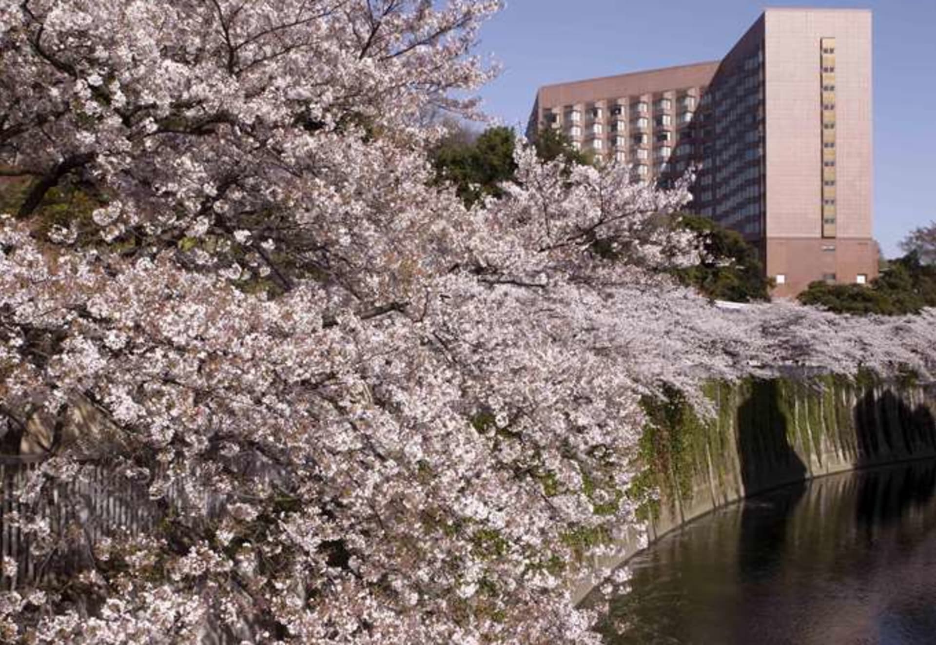 Hotel Chinzanso Tokyo