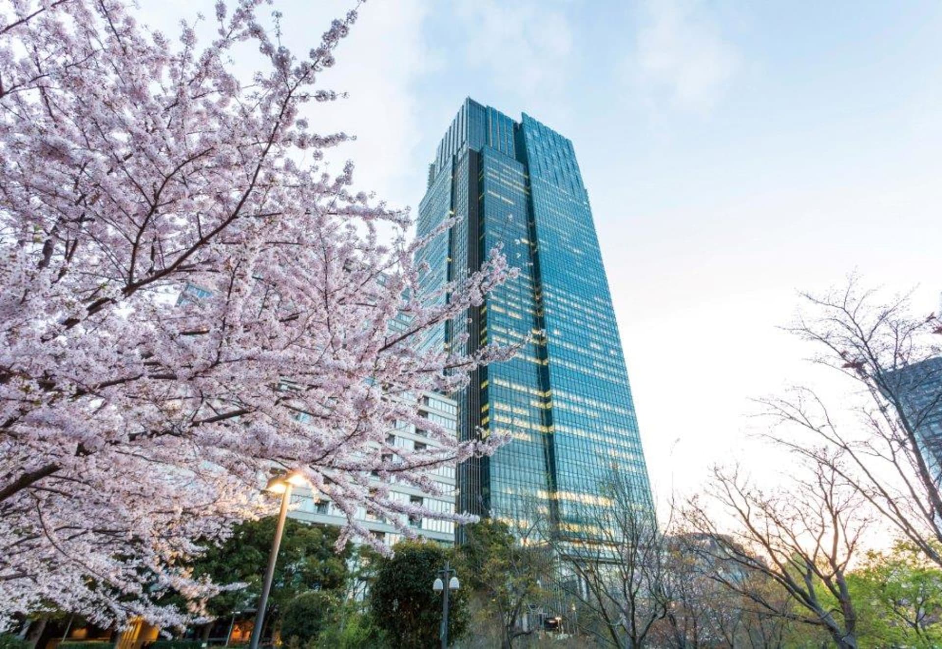The Ritz-Carlton, Tokyo