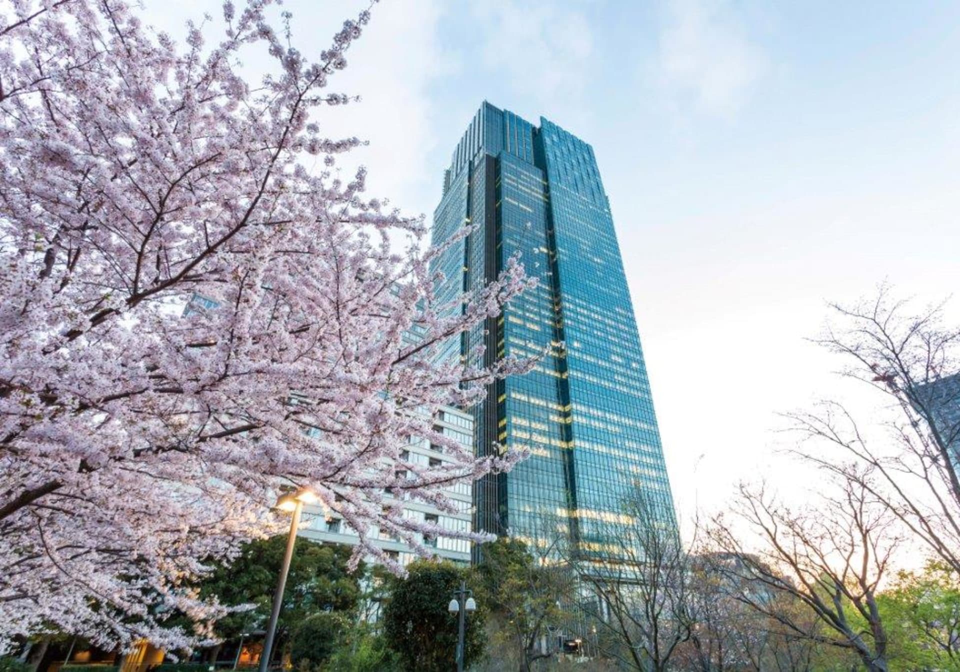 The Ritz-Carlton, Tokyo