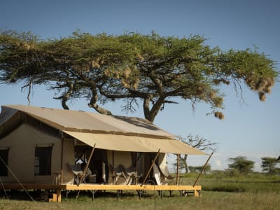 Siringit Serengeti Camp – foto 2