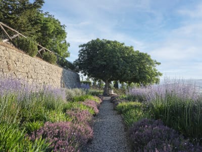Rosewood Castiglion del Bosco – foto 4
