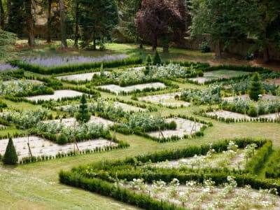 Château Louise de La Vallière – foto 2