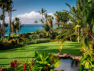 Wailea Beach Resort - Marriott, Maui – foto 5