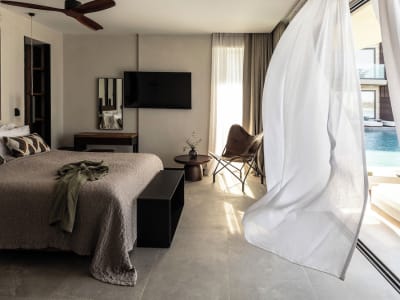 King Jason Zante – Designed for Adults – foto 2