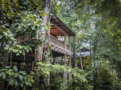 The Datai Langkawi – foto 2