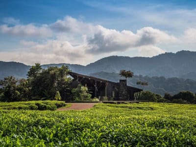 One&Only Nyungwe House – foto 2