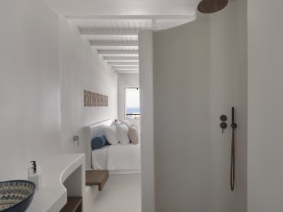 Andronis Minois – foto 2