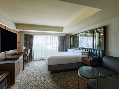 The Woodlands Waterway Marriott Hotel & Convention Center – foto 3