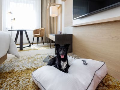 The Westin Grand Frankfurt – foto 4