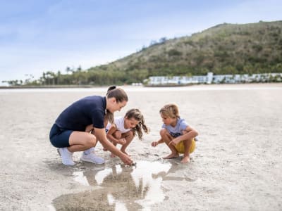 InterContinental Hayman Island Resort – foto 3