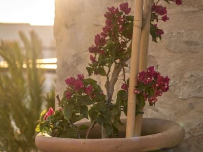 Allium Bodrum Resort & Spa – foto 4