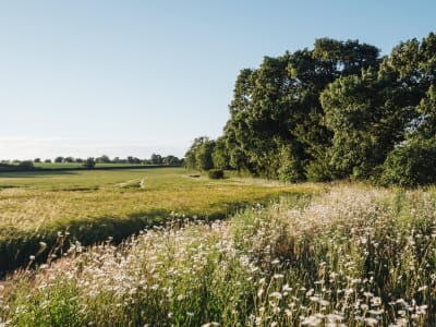 Wildflower Farms, Auberge Collection – foto 2