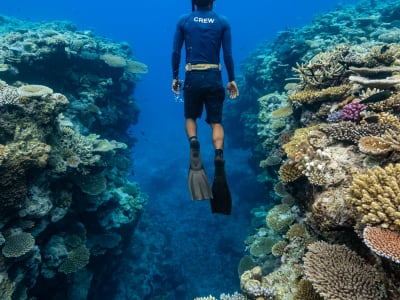 Kokomo Private Island Fiji – foto 2