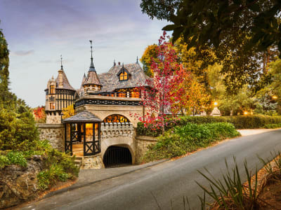 Thorngrove Manor – foto 3