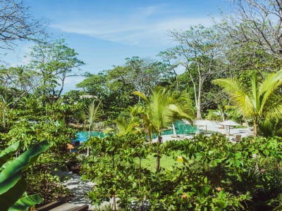Hotel Nantipa - A Tico Beach Experience – foto 3