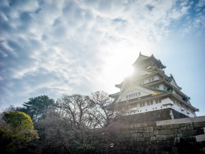 InterContinental Osaka by IHG – foto 3