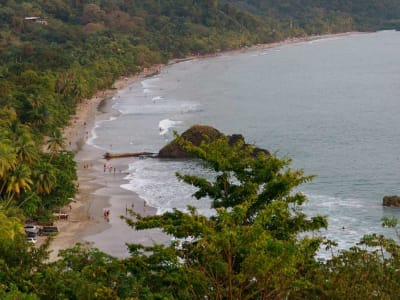 Arenas Del Mar Beachfront & Rainforest Member of the Cayuga Collection – foto 3