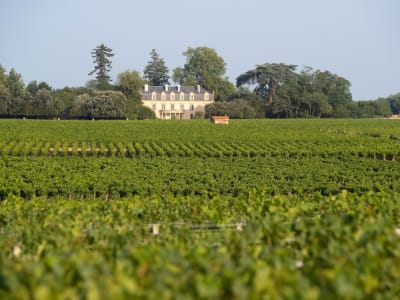 La Maison d'Estournel – foto 2