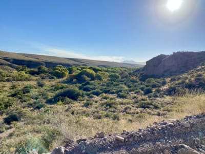 Ladder, A Ted Turner Reserve – foto 2