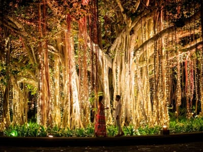 Shangri-La Le Touessrok, Mauritius – foto 2