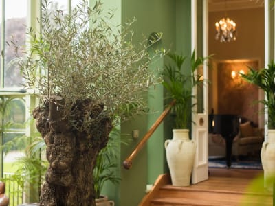 Cahernane House Hotel – foto 2