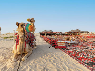 Al Wathba, a Luxury Collection Desert Resort & Spa, Abu Dhabi – foto 4