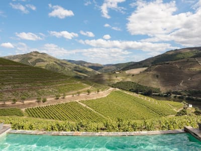 Quinta Nova Winery House – foto 2