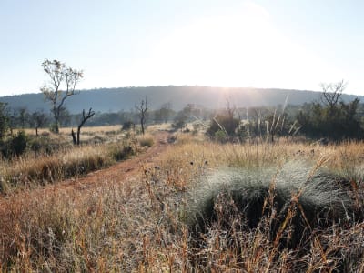 Zulu Camp at Shambala Private Game Reserve – foto 3
