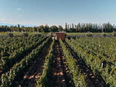 Entre Cielos Wine & Wellness Hotel – foto 3