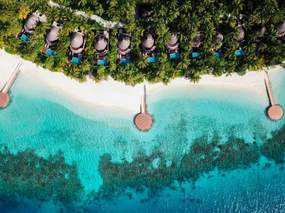 W Maldives – foto 5