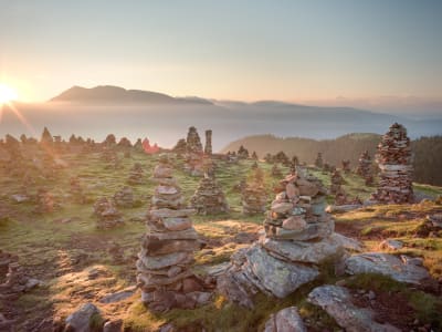 Terra - The Magic Place – foto 2