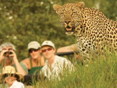 Londolozi Game Reserve – foto 2