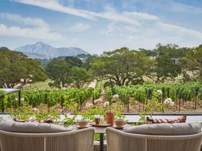 Montage Healdsburg – foto 3