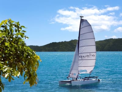 Qualia – foto 3