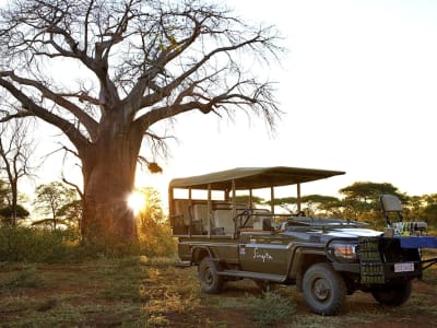 Singita - Singita Pamushana – foto 2