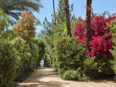 Parker Palm Springs – foto 3