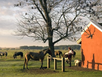 Estancia La Bamba de Areco – foto 2