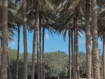 Anantara Al Sahel Villa Resort – foto 3