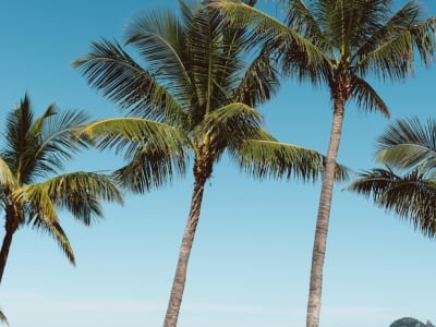 Tokoriki Island Resort - Adults only – foto 4