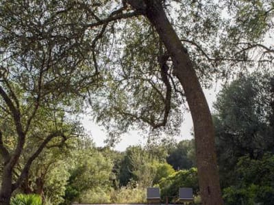 Es Racó d’Artà, a Member of Design Hotels™ – foto 4
