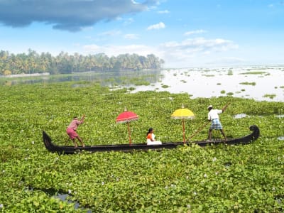 Purity at Lake Vembanad – foto 5