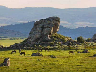 The Lodge & Spa at Brush Creek Ranch – foto 4