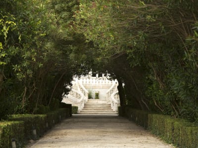 Quinta Das Lagrimas – foto 4
