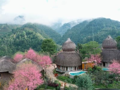 Garrya Mu Cang Chai – foto 4