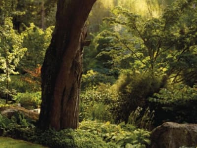 Huka Lodge – foto 5