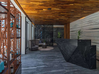 The Residences at Solaz, a Luxury Collection Resort, Los Cabos a Marriott Hotel – foto 3