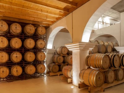 Herdade da Malhadinha Nova - Relais & Châteaux – foto 3