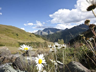 Relais & Châteaux Chasa Montana – foto 4