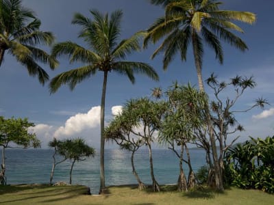 Alila Manggis, Bali – foto 4